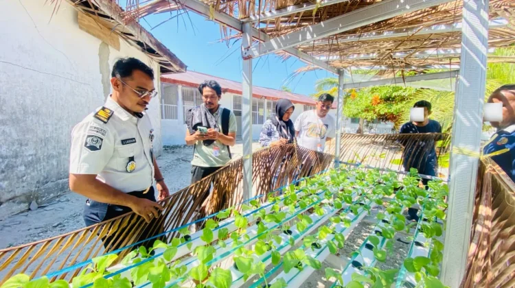 Program Kemandirian Pertanian Hidroponik Lapas Geser Ditinjau BPS Kabupaten SBT