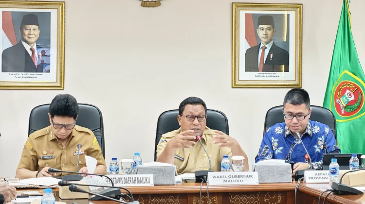 Maluku Masuk Nominator TPAKD Award 2026, Wagub Paparkan Capaian Inklusi Keuangan