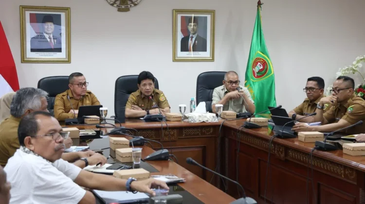 Produksi Ubi Kayu Maluku Capai 42 Ribu Ton, Hilirisasi Jadi Fokus