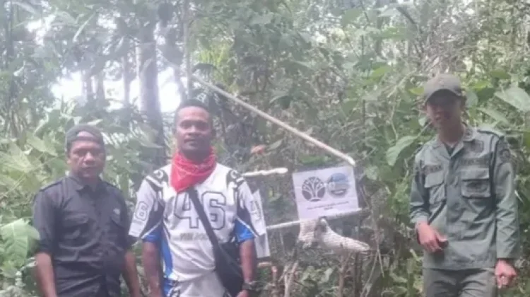 BKSDA Kembalikan Dua Kakatua Koki ke Alam Lepas