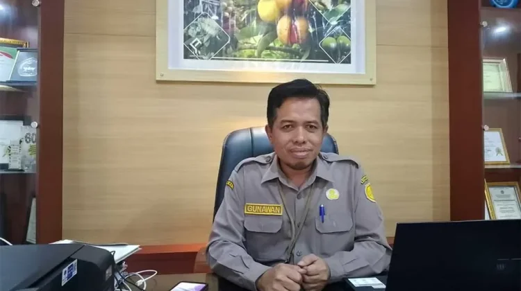 Petani Maluku Didorong Sesuaikan Pola Tanam Hadapi Potensi El Nino