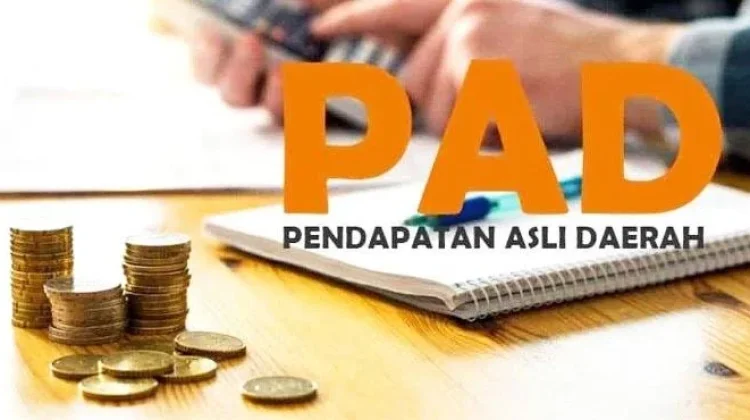Pemprov Maluku Genjot Investasi dan Hilirisasi SDA Perkuat PAD