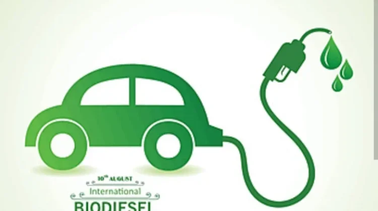 Hari Biodiesel Internasional, Energi Alternatif Pengganti Bahan Bakar Fosil