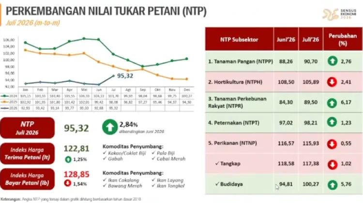 NTP Maluku Naik 2,84 Persen, Kakao hingga Pala Dongkrak Harga Produksi Petani