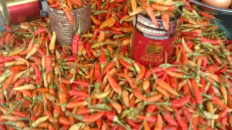 Harga Cabai di Ambon Tembus Rp100 Ribu per Kilogram