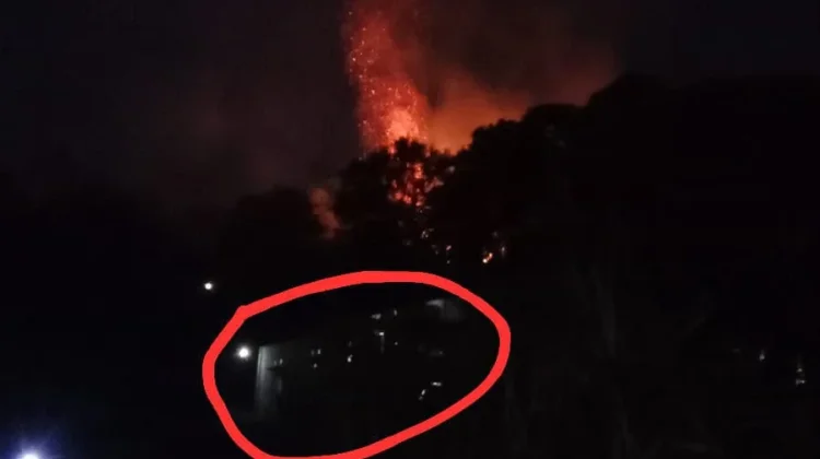 Kebakaran Hutan di STAIN Kahena, Damkar Ambon Kerahkan 17 Personel