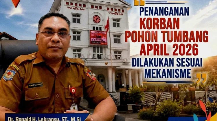 Jubir Pemkot Ambon: Korban Pohon Tumbang 2026, Ditangani Sesuai Mekanisme