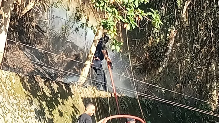 Kebakaran Sampah Merambat ke Hutan di BTN Kanawa, Damkar Ambon Kerahkan Empat Unit