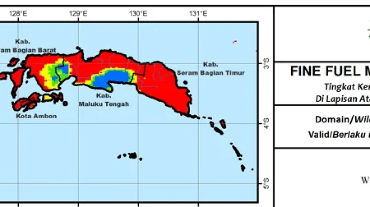 Potensi Kebakaran Hutan dan Lahan di Maluku Masih Tinggi