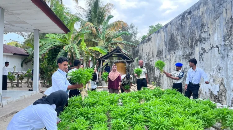 Lapas Geser Panen 90 Ikat Kangkung Hidroponik Modifikasi, Dukung Ketahanan Pangan