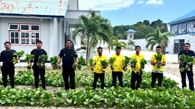 Hasil Nyata Ketahanan Pangan, Warga Binaan Lapas Namlea Puluhan Ikat Sawit