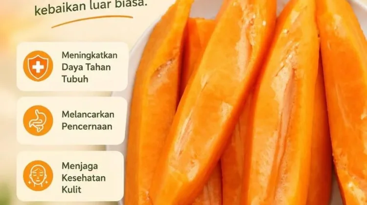 Manfaat buah pepaya bagi kesehatan Tubuh