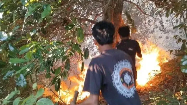 Terkendala Akses Masuk, Karhutla di Malteng Terus Meluas