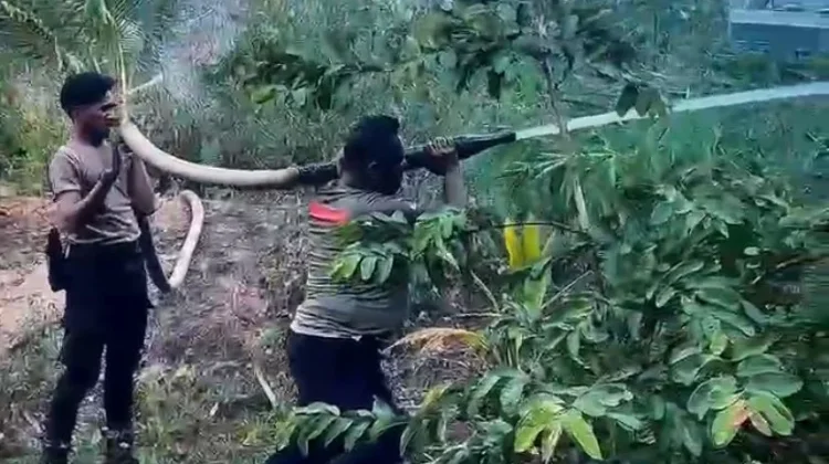 Polisi Berhasil Padamkan Tiga Titik Karhutla di SBB