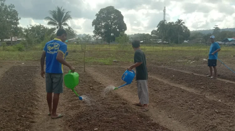 Program Ketahanan Pangan Digenjot Rutan Masohi