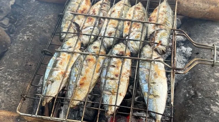Kawalinya, Ikan Pelagis yang Penting bagi Masyarakat Pesisir Maluku