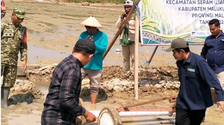 Balai Modernisasi Pertanian Garap 9 Hektare Lahan Sawah di Leaway-Malteng