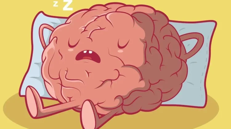 Otak Tetap Aktif saat Kita Tidur