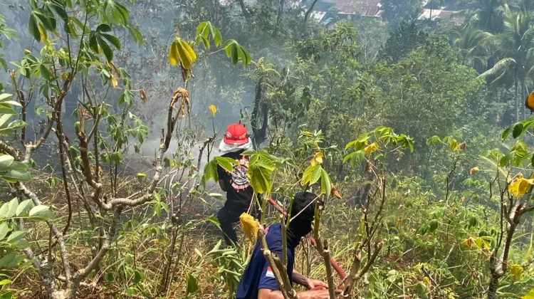 Damkar Ambon Tangani Kebakaran Hutan di Kanawa