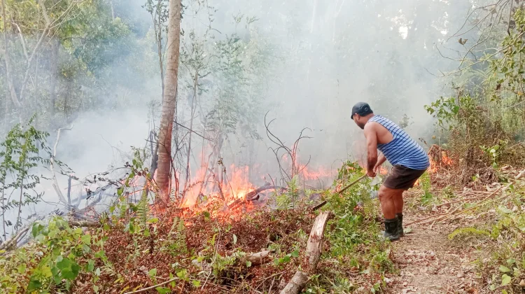 Karhutla di Hila, Api Bakar Puluhan Tanaman Warga