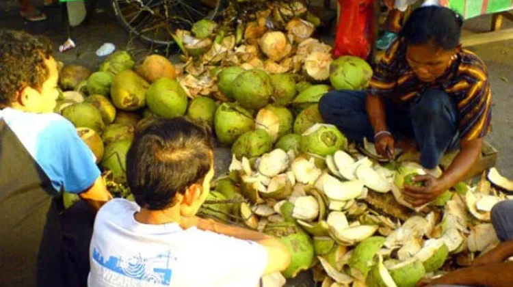 Musim Panas Dongkrak Permintaan Kelapa Muda di Losari