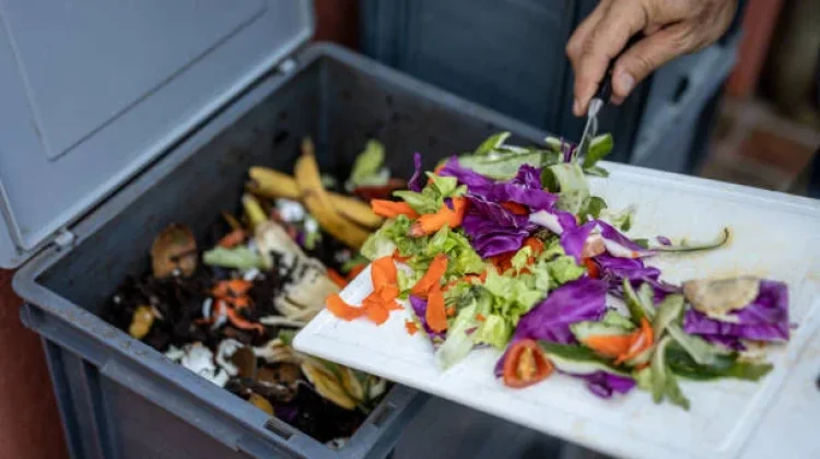 World Cleanup Day: Piring Bersih bisa Selamatkan Bumi?