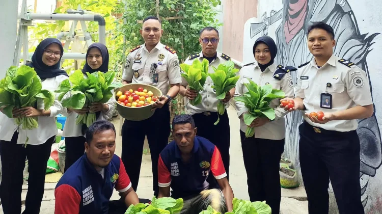 Lapas Wahai Panen Sawi Hidroponik & Tomat Apel, Ruang Belajar bagi Peserta Magang