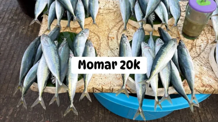 Harga Ikan di Pasar Mardika Awal Oktober Mulai Terjangkau