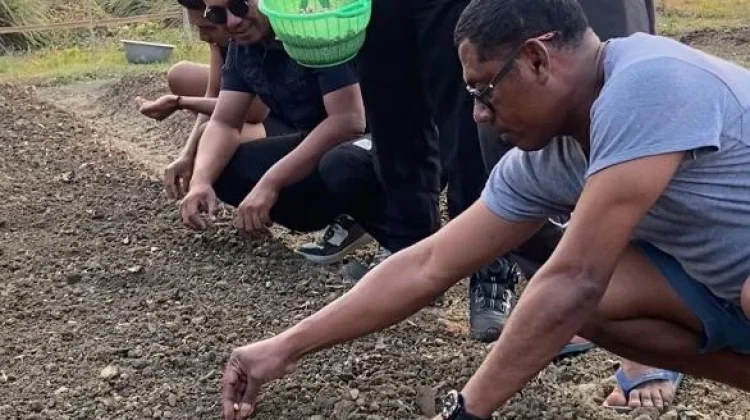 Rutan Masohi Lanjutkan Penanaman Kacang Tanah Tahap Tiga di Lahan SAE