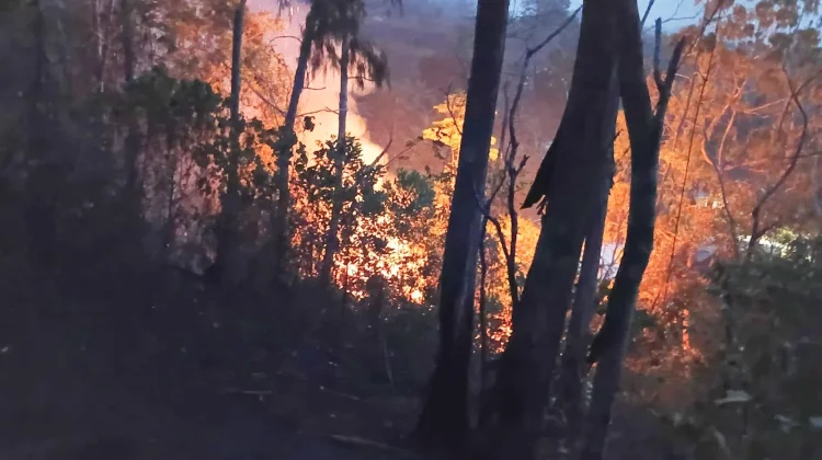 Sepuluh Jam Damkar Berjuang Padamkan Kebakaran Gunung Nona
