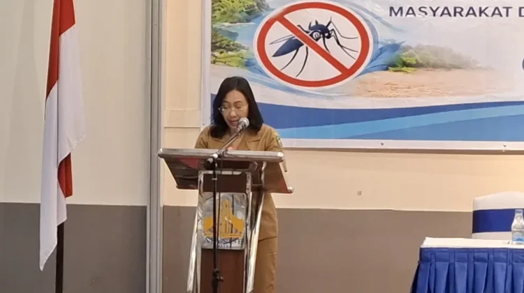 Maluku Targetkan Tak Ada Lagi Kasus Malaria Lokal pada 2028
