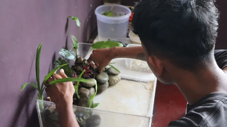 Salurkan Bakat dan Kreatifitas, Warga Binaan Buatkan Aquascape