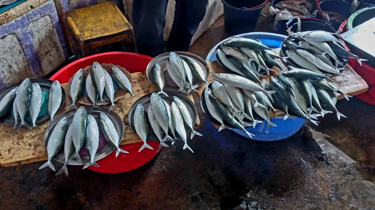 Akhir Pekan, Pasar Mardika Ambon Kembali Ramai Aktivitas