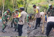 TNI-Polri di Maluku Tanam Jagung Pipil di Atas Alahan 3,30 Hektare