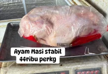 Harga Ayam Potong jelang Ramadan di Ambon Masih Stabil