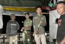 Dua Ekor Burung Nuri Diamankan Petugas BKSDA