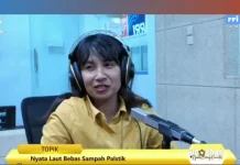Green Moluccas Intensifkan Edukasi Lingkungan dan Program Adopsi Mangrove