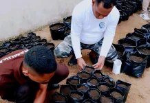 ADAB Bekali Anak Binaan Keterampilan Pertanian Terpadu