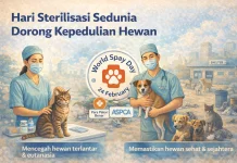 Hari Sterilisasi Sedunia Dorong Kepedulian Hewan