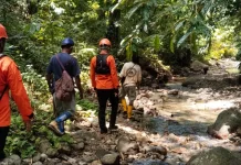 Kakek Hilang di Hutan Larike Ditemukan Selamat