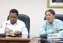 Wagub Maluku & Konjen Jepang Bahas Investasi Blok Masela hingga Hibah Rumah Sakit