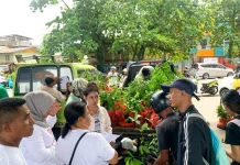 MCC Bagikan 1.350 Anakan Pohon, Dukung Iklim Maluku
