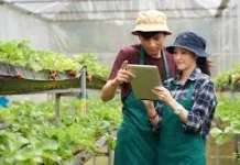 Generasi Muda Maluku Didorong Lirik Pertanian sebagai Peluang Bisnis