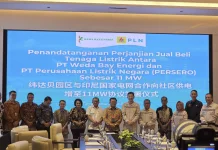 PLN Perkuat Energi Halmahera Tengah dengan Excess Power