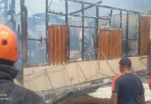 Sigap! Damkar Ambon Kerahkan 5 Mobil Pemadam dan 40 Personil ke Wayame