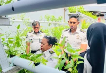 Tetap Produktif di Bulan Puasa, Warga Binaan Lapas Wahai Panen Kangkung Hidroponik