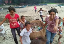 Green Moluccas Konsisten Jalankan Aksi Bersih Pantai dan Edukasi Lingkungan