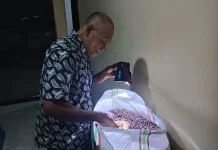 Cengkeh Raja, Primadona Ekonomi Masyarakat Negeri Latu