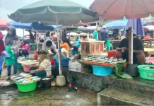 Pasokan Ikan di Pasar Arumbai Ambon Terkendali, Harga Alami Fluktuasi