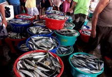 Aktivitas Jual Beli di Pasar Mardika Ambon Kembali Ramai